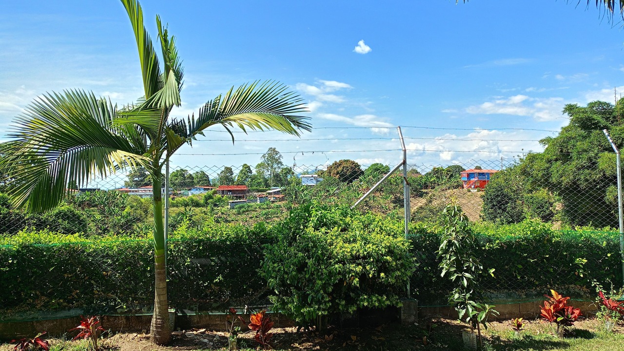 Photo of Outdoor in Alcala