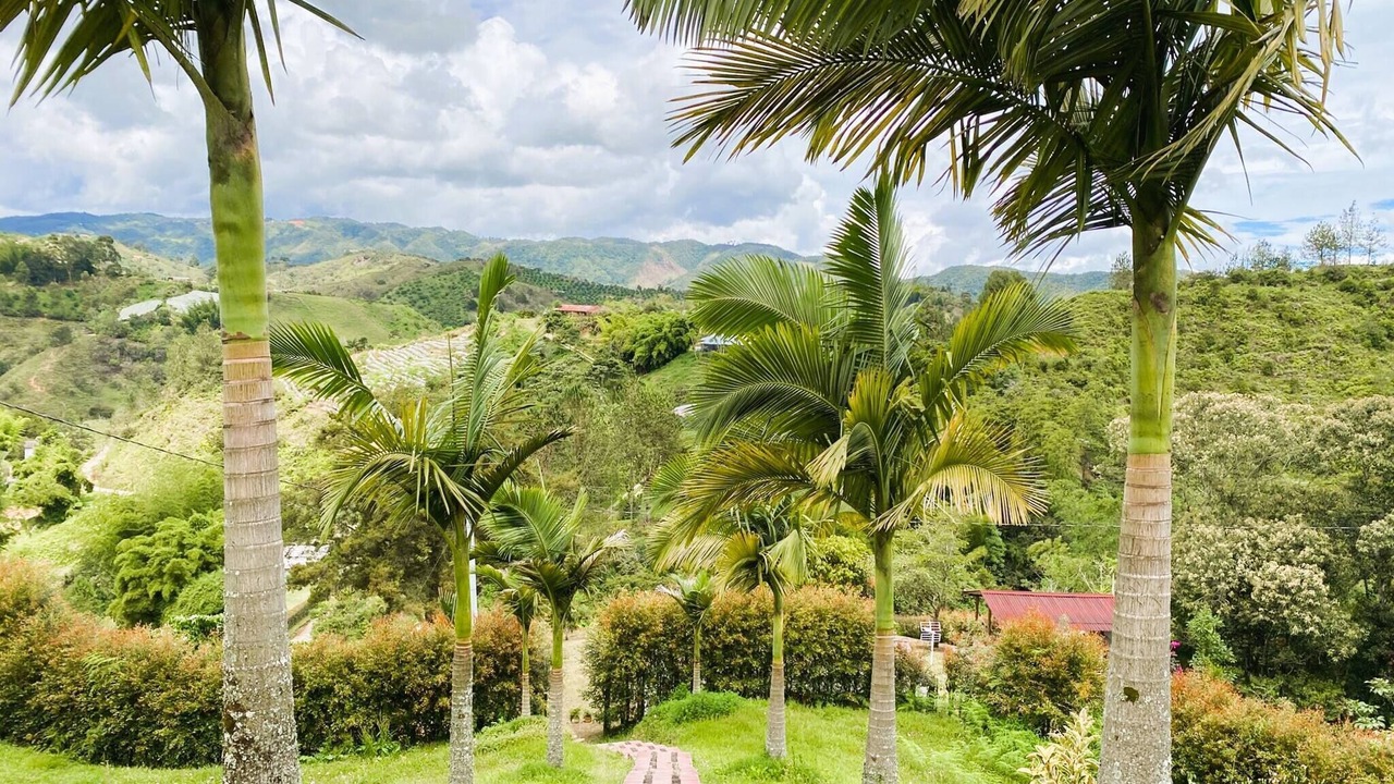 Photo of Outdoor in El Penol