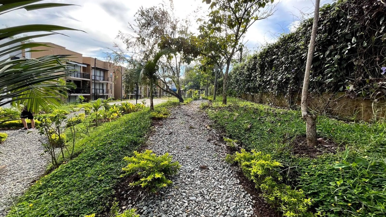Photo of Outdoor in La Tebaida
