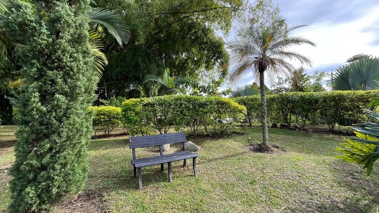 Photo of Outdoor in La Tebaida