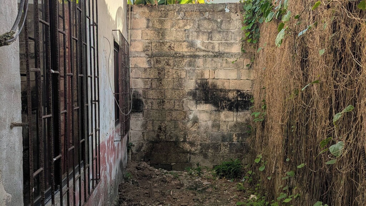 Photo of Outdoor in Punta Hansa