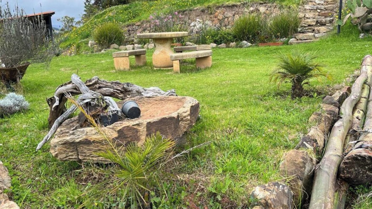 Photo of Outdoor in Toca