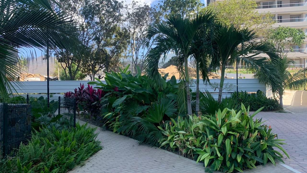 Photo of Outdoor in El Rodadero