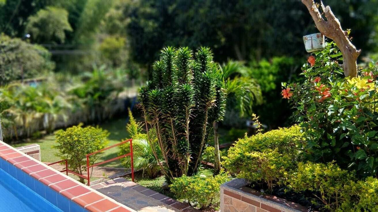 Photo of Outdoor in Dagua