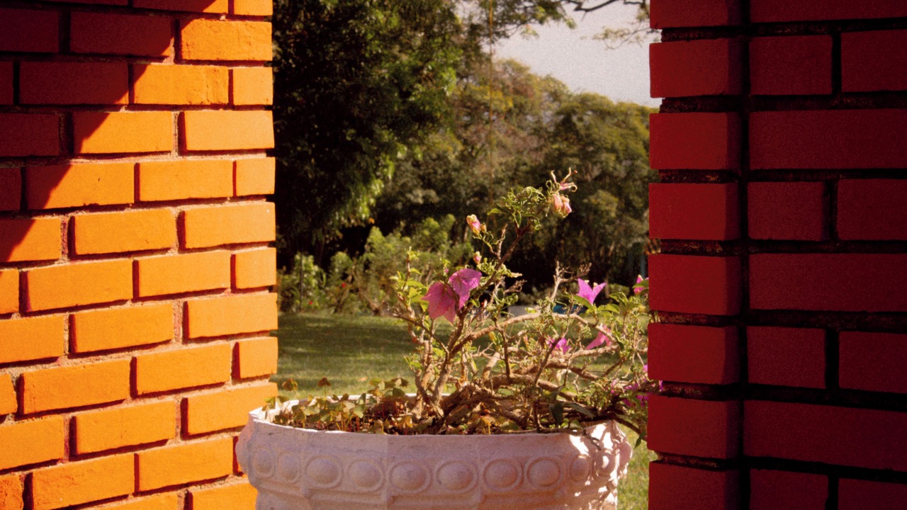 Photo of Outdoor in Ginebra