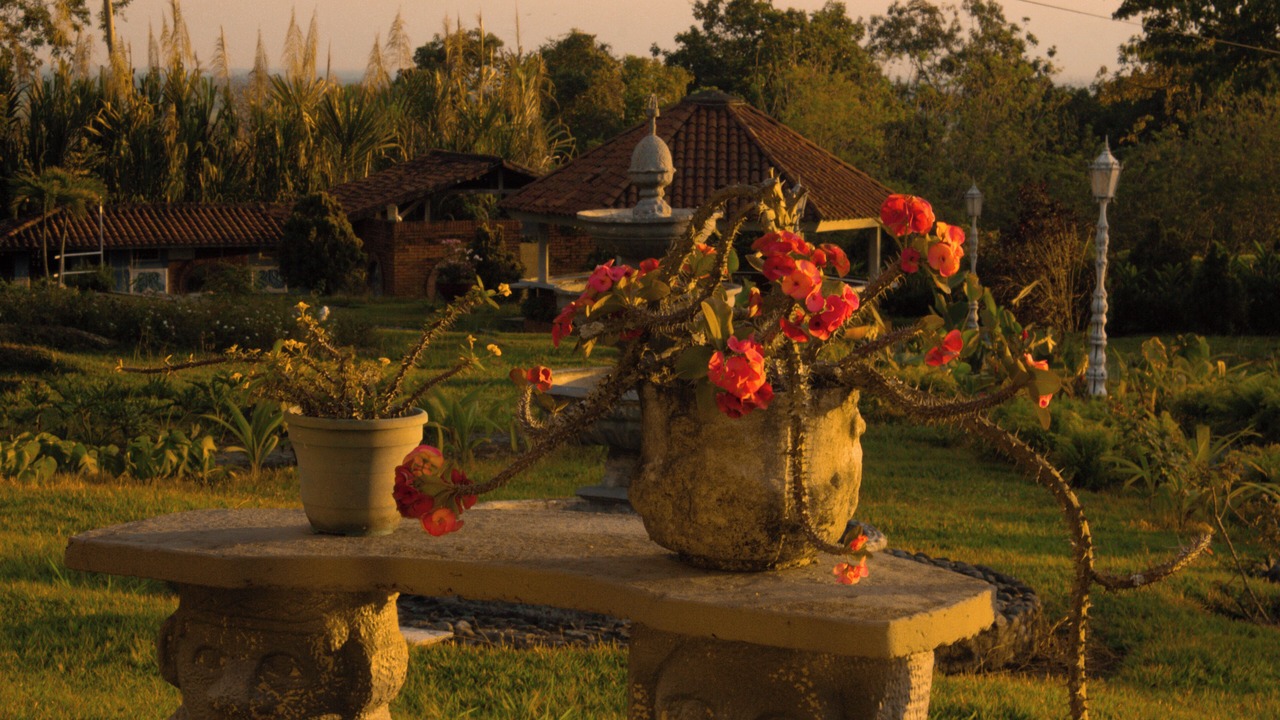 Photo of Outdoor in Ginebra