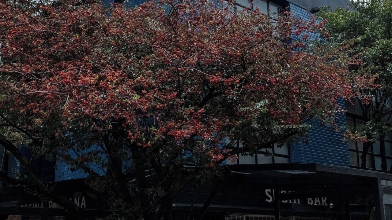 Photo of Outdoor in Bogota