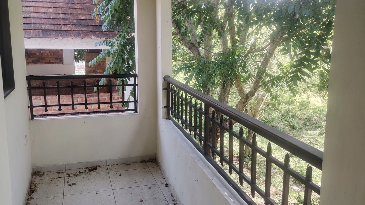 Photo of Outdoor in Pinchote