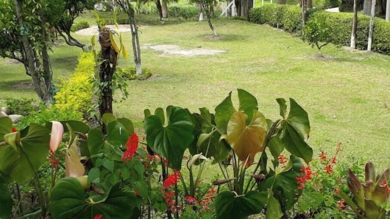 Photo of Outdoor in San Jose de Pare