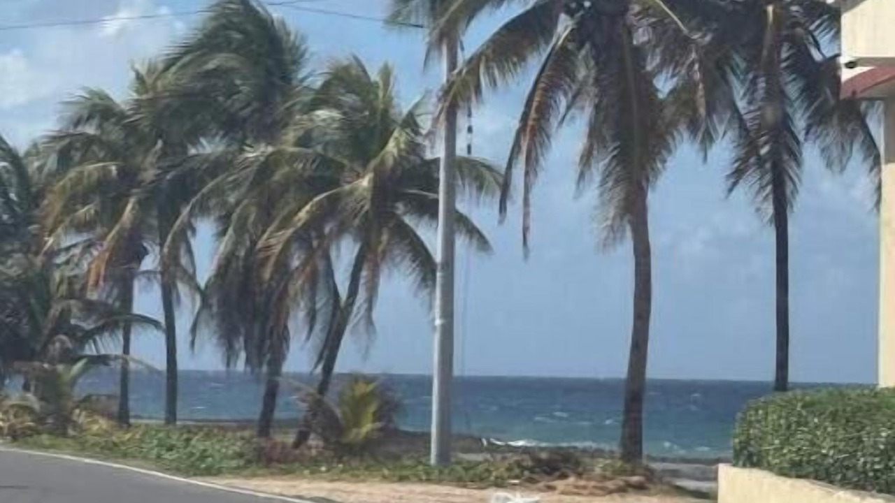 Photo of Others in Punta Hansa