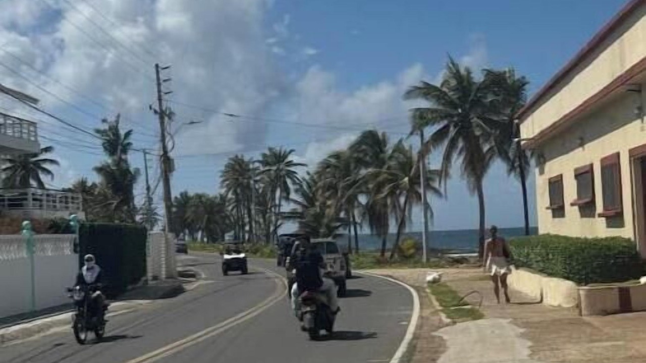 Photo of Others in Punta Hansa