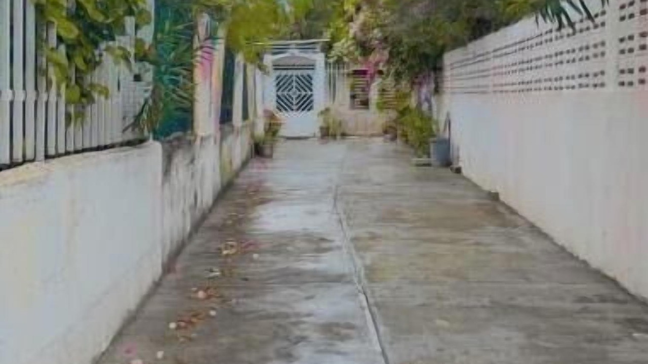Photo of Outdoor in Punta Hansa