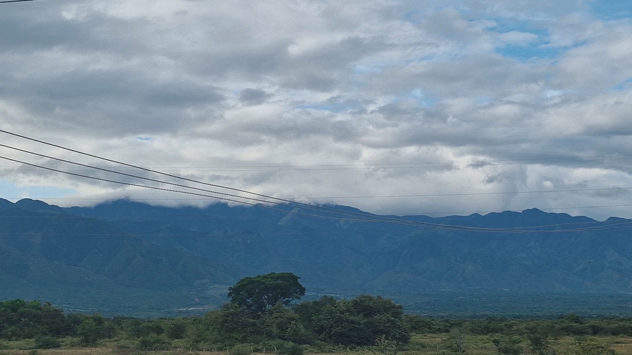 Photo of Others in Neiva