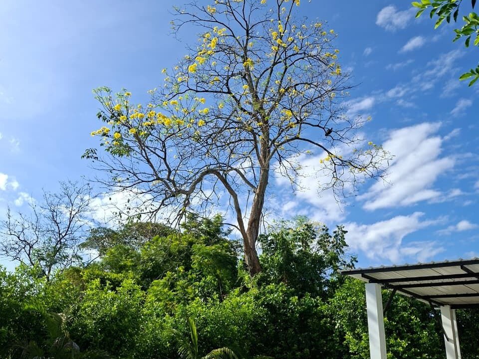 Photo of Outdoor in Puerto Triunfo