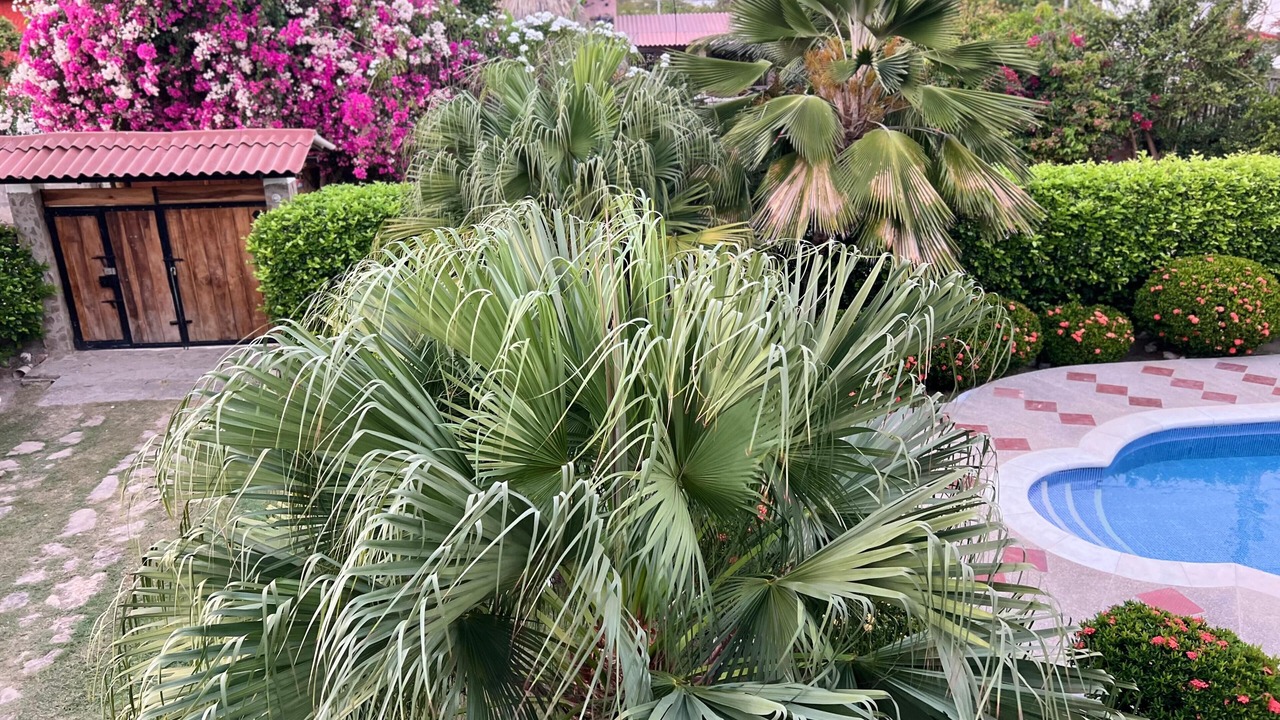 Photo of Outdoor in Santa Veronica