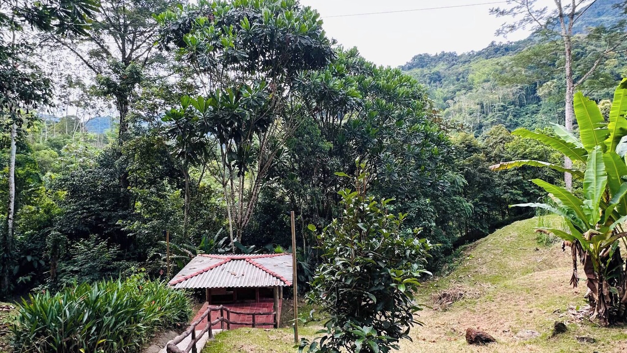 Photo of Outdoor in Cocorna
