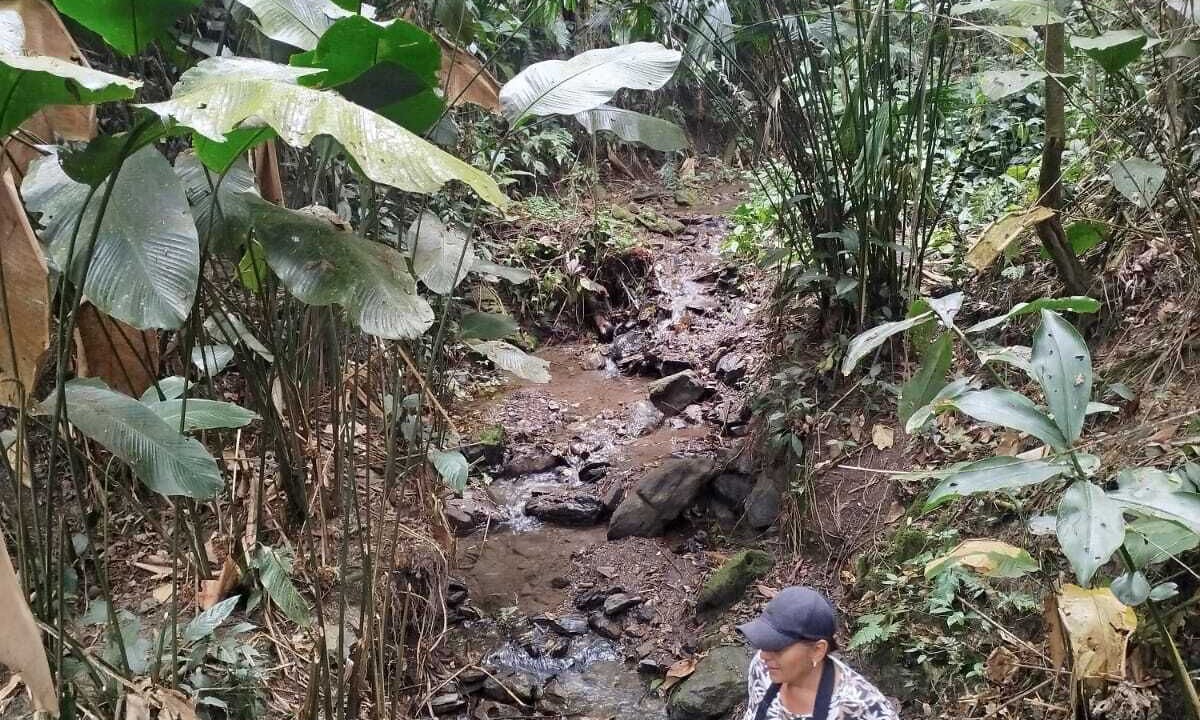Photo of Others in La Vega