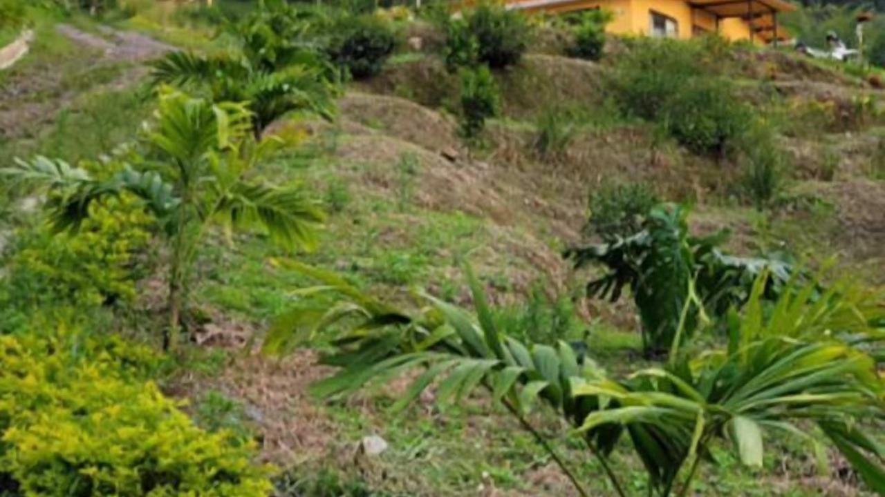 Photo of Outdoor in La Vega