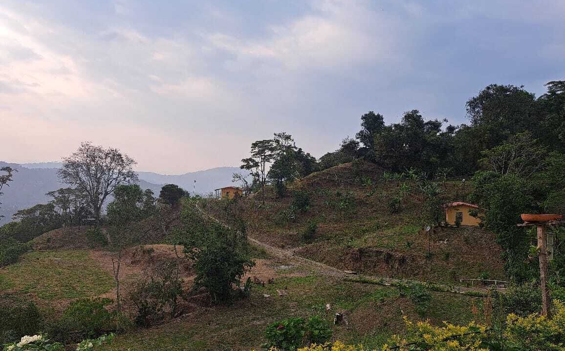 Photo of Outdoor in La Vega