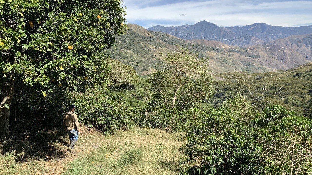 Photo of Others in Buesaco