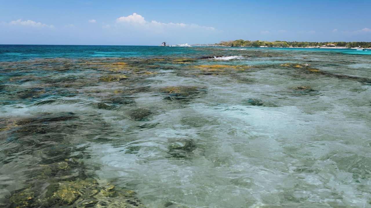 Photo of Others in Rosario Islands