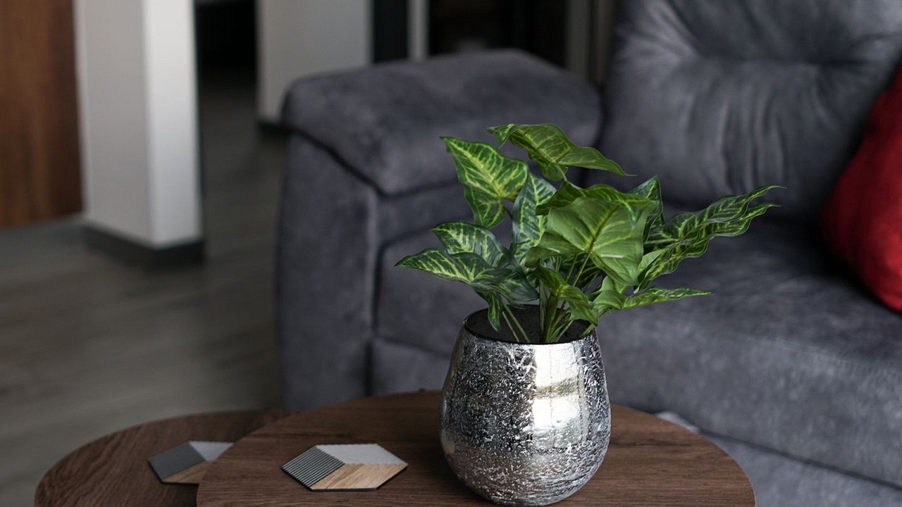 Photo of Livingroom in Pereira