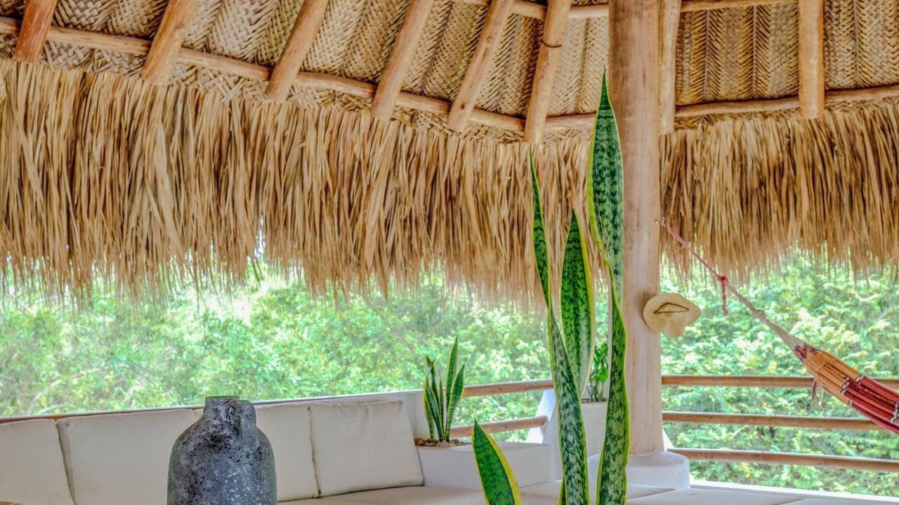 Photo of Outdoor in Palomino
