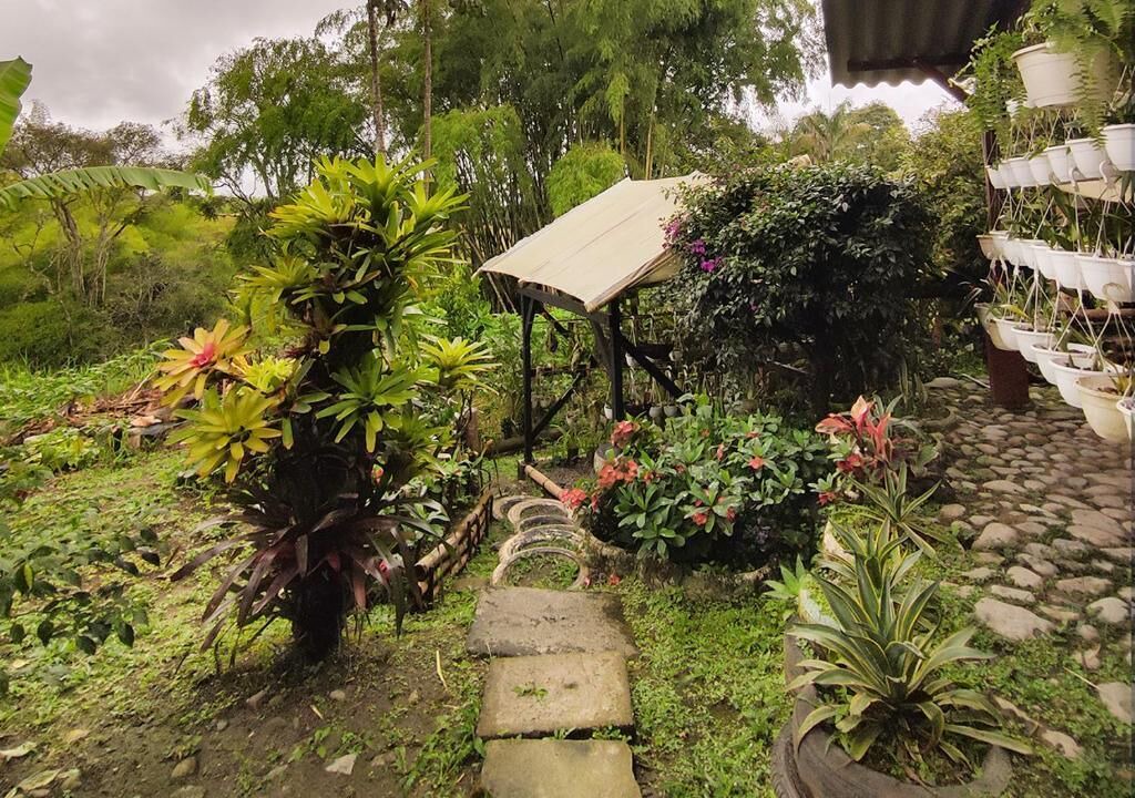 Photo of Outdoor in Filandia