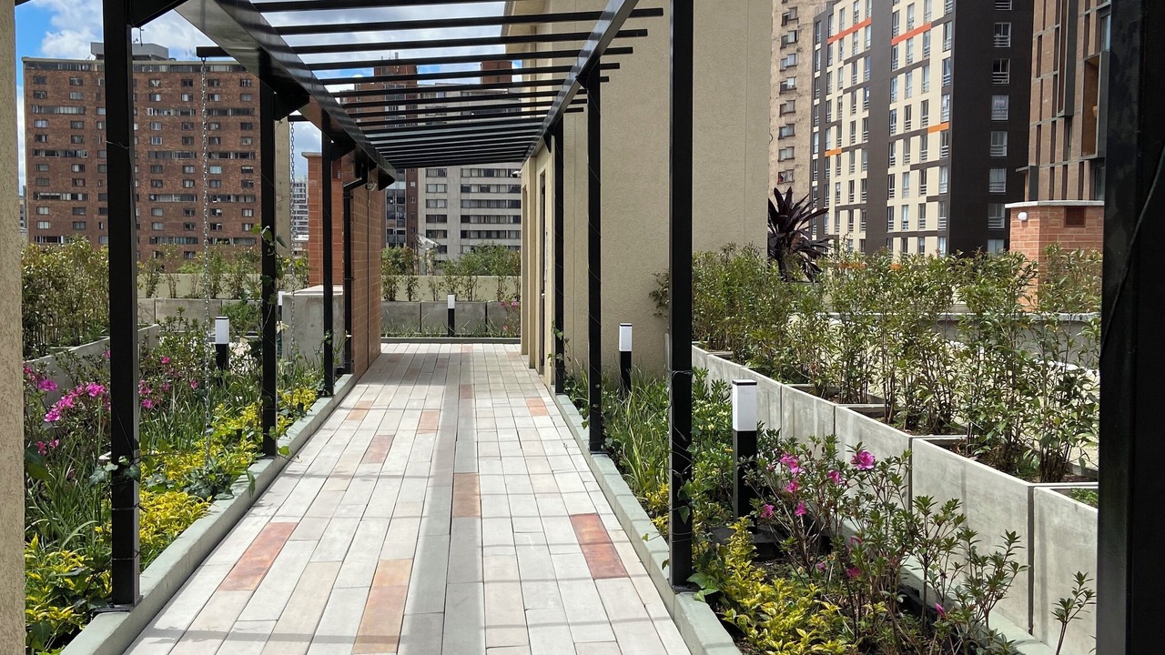 Photo of Outdoor in La Candelaria