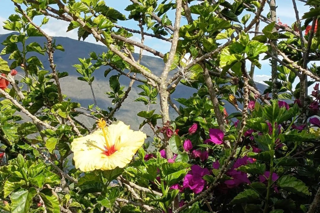 Photo of Others in Villa de Leyva
