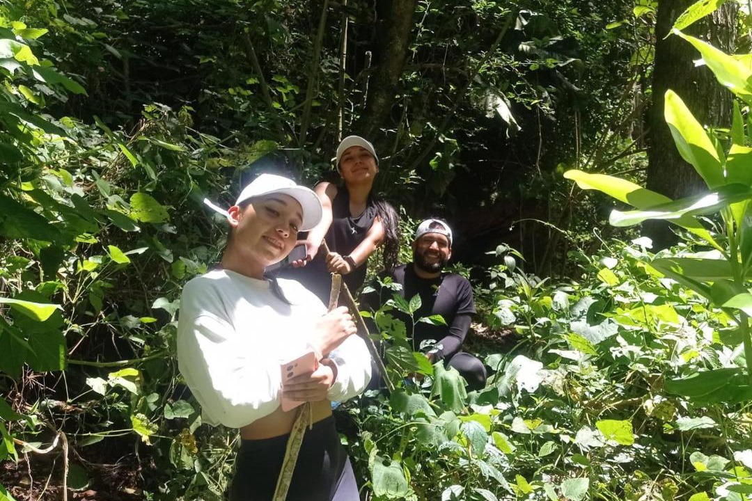 Photo of Outdoor in Nuevo Colon
