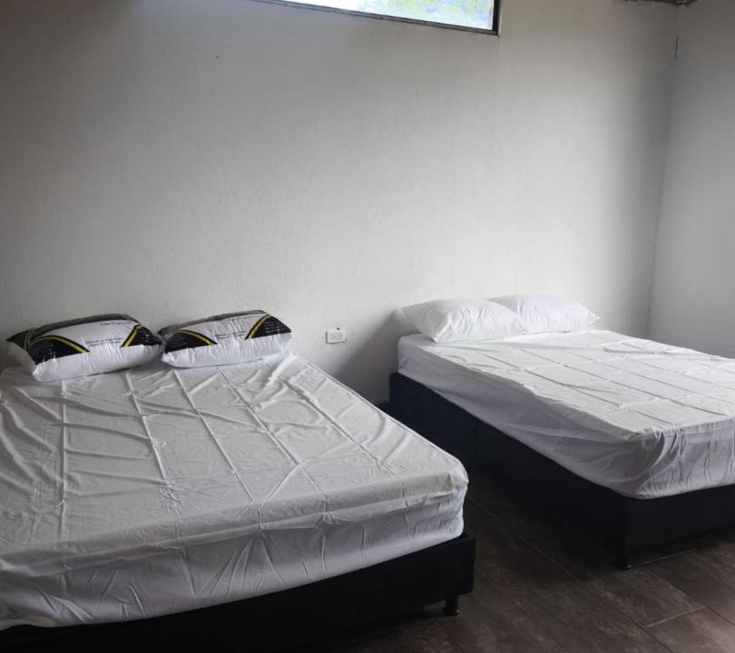 Photo of Bedroom in Nilo