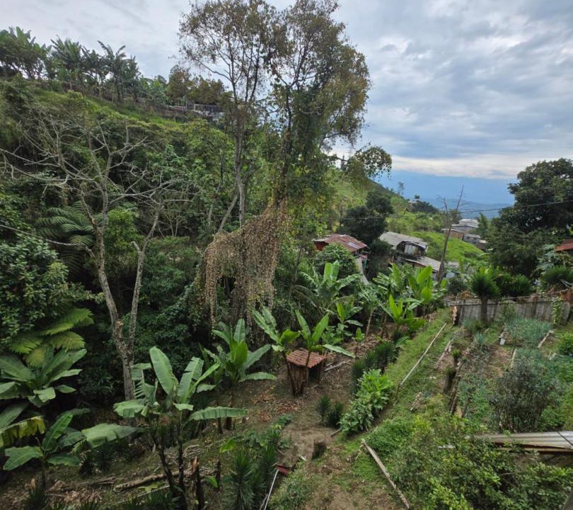 Photo of Others in Manizales