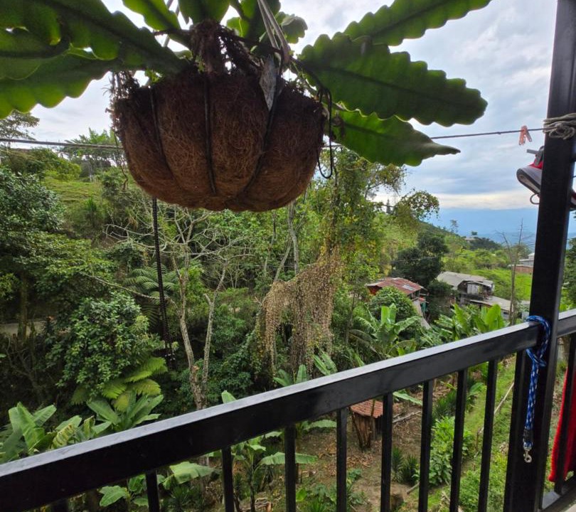 Photo of Patio Balcony in Manizales