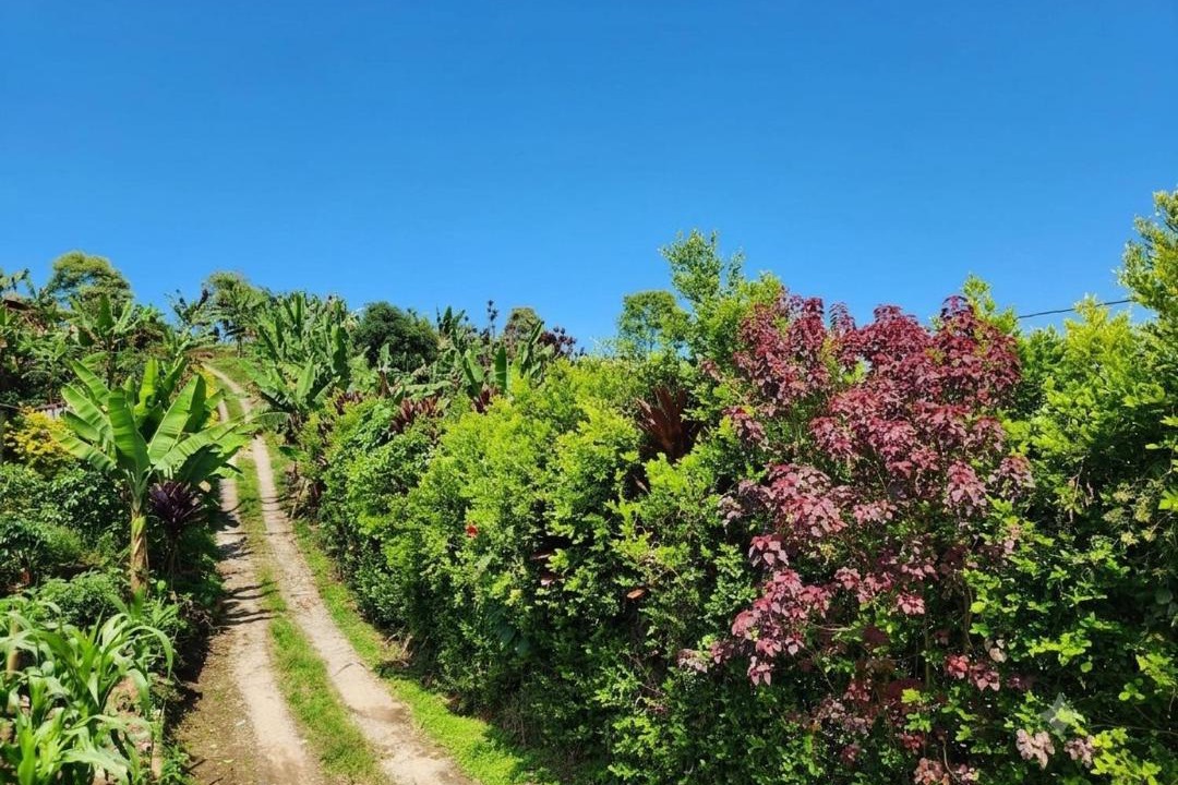 Photo of Outdoor in Alcala