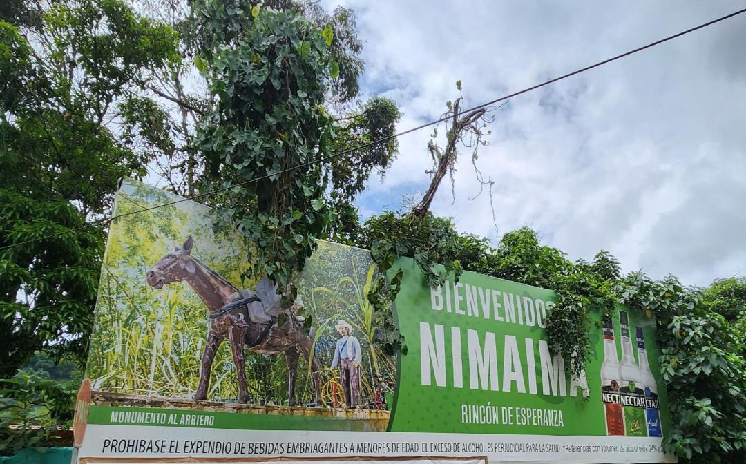 Photo of Others in Vergara