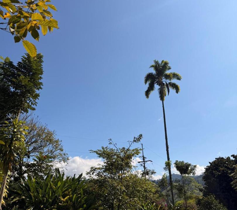 Photo of Others in Manizales