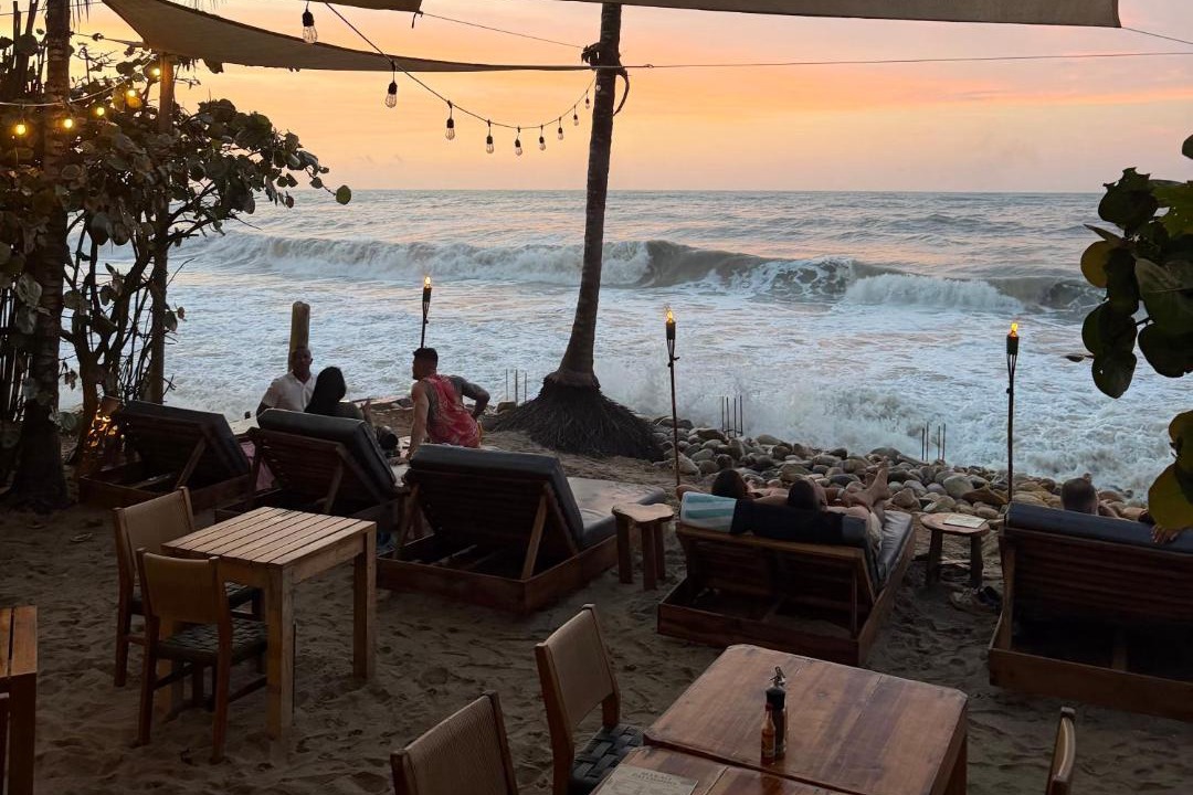 Photo of Others in Palomino