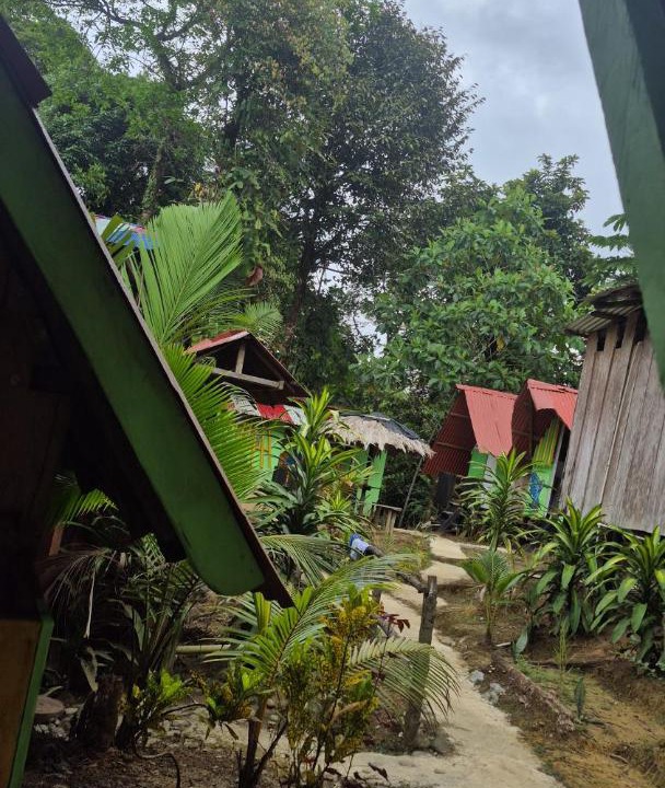 Photo of Others in Uramba National Park