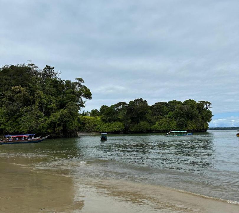 Photo of Others in Uramba National Park