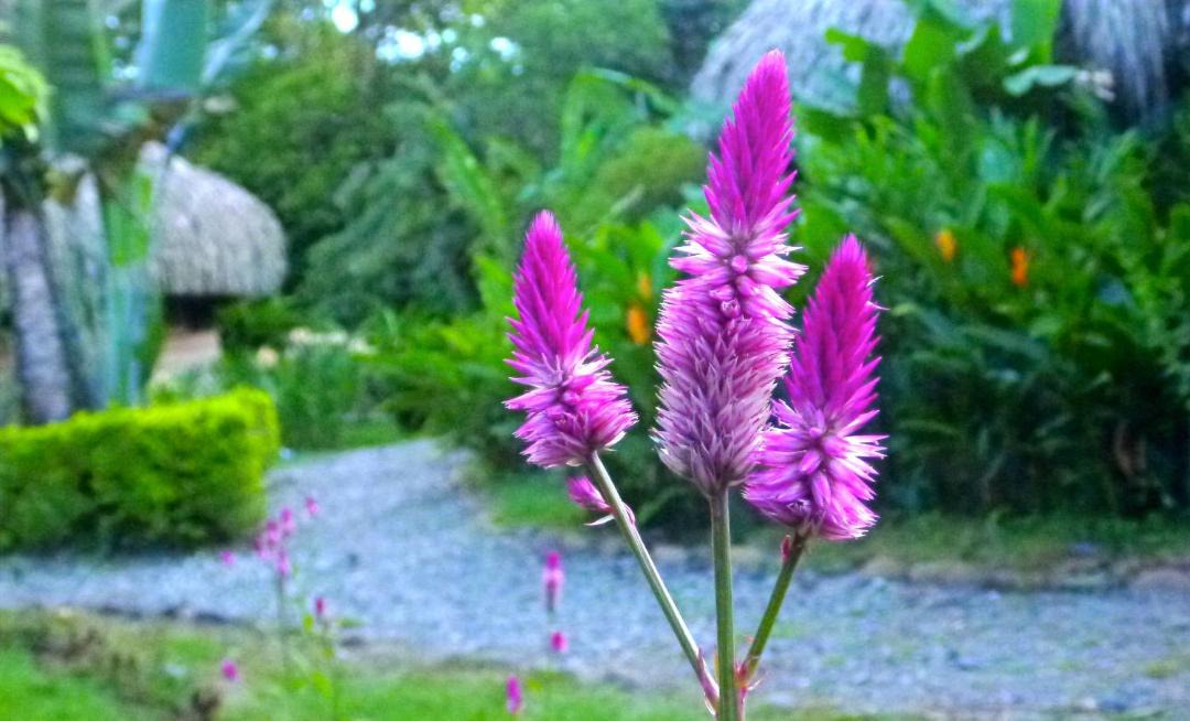 Photo of Outdoor in Restrepo