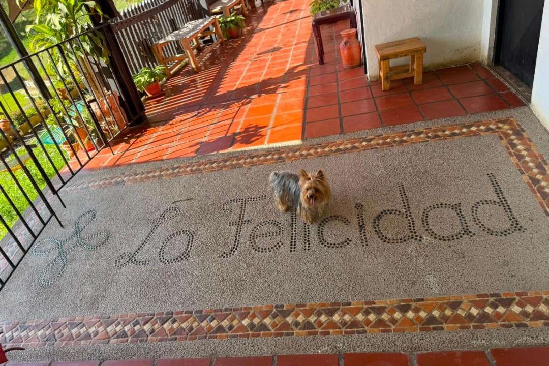 Photo of Patio Balcony in Fomeque