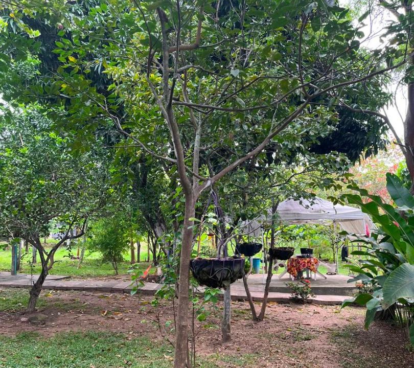 Photo of Others in Rivera