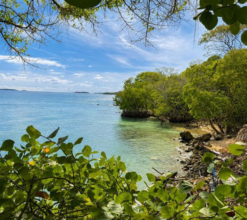Photo of Others in Rosario Islands