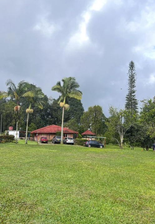 Photo of Others in La Vega
