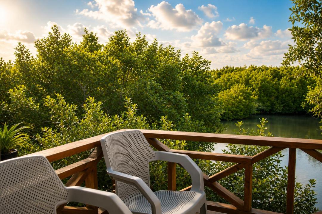 Photo of Patio Balcony in Tolu