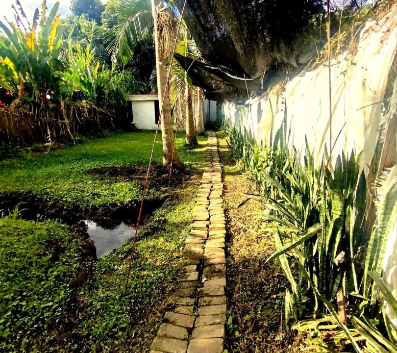 Photo of Others in Pereira