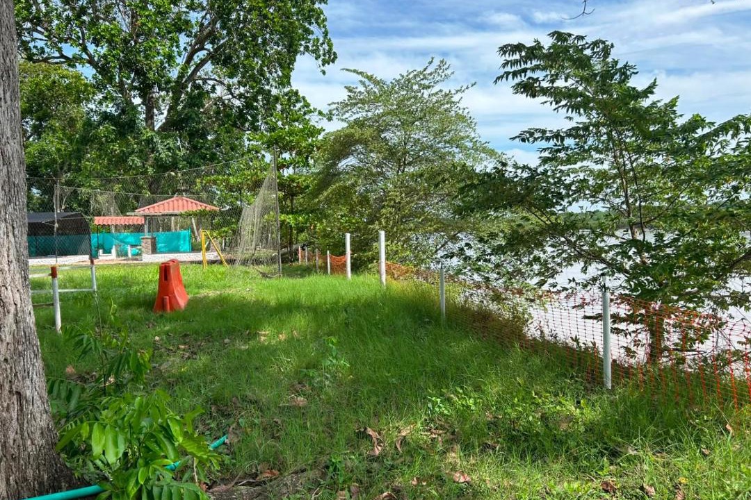 Photo of Others in Puerto Boyaca