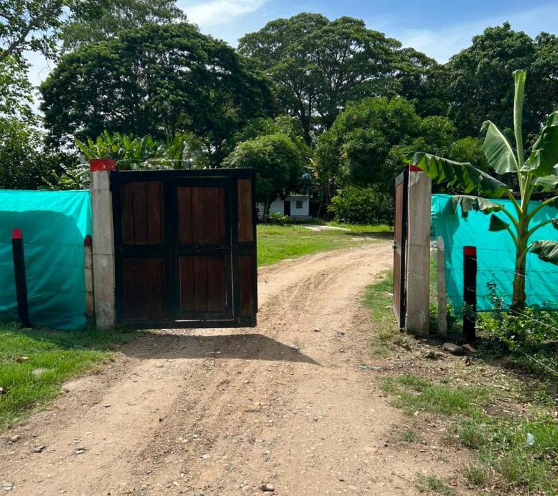 Photo of Others in Puerto Boyaca