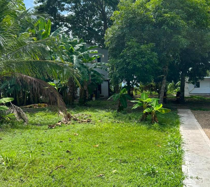 Photo of Others in Puerto Boyaca